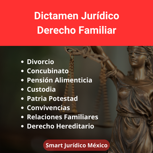 Asesoría Legal / Dictamen Jurídico sobre Conflictos en Derecho Familiar por Escrito — México